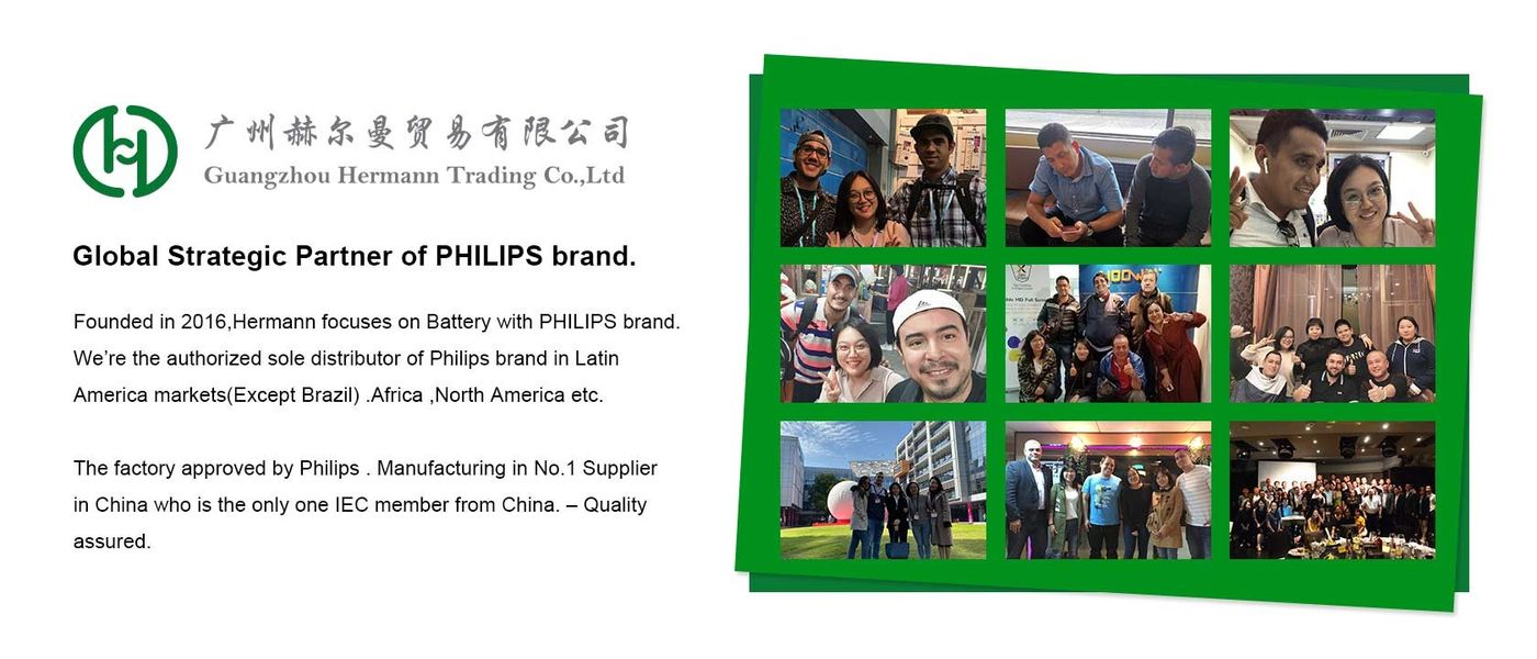 quality Power Alkaline Battery factory